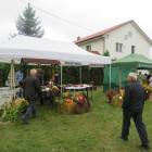 zdjęcie nr 19