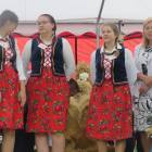 zdjęcie nr 26