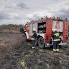 Fotka nr 3 z 12