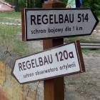 zdjęcie nr 8