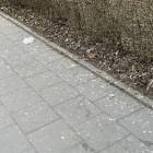 zdjęcie nr 15