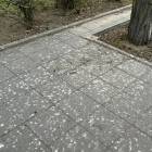 zdjęcie nr 17