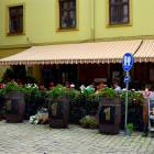 zdjęcie nr 42