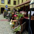 zdjęcie nr 44