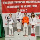 zdjęcie nr 96