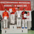 zdjęcie nr 99
