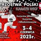 zdjęcie nr 61