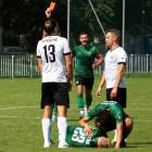 Fotka nr 2 z 11