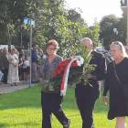 zdjęcie nr 14