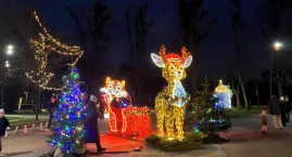 Zdjęcie dotyczy: Józefów w świątecznej iluminacji