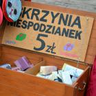 zdjęcie nr 19