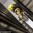 Fotka nr 4 z 6