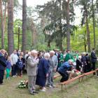 zdjęcie nr 9