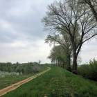 Fotka nr 4 z 26