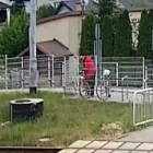 Fotka nr 4 z 5