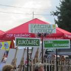 zdjęcie nr 24