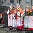 zdjęcie nr 73