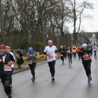 zdjęcie nr 113