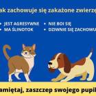 Fotka nr 2 z 4