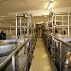 Hala filtrów stacji uzdatniania wody OPWiK