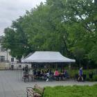 zdjęcie nr 41