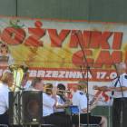 zdjęcie nr 8