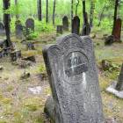 zdjęcie nr 22