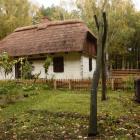 zdjęcie nr 47