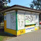 zdjęcie nr 28