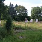 Gródek k. Wiązowny: zespół dworsko - parkowy Skibińskich - ruiny dworku_P.A. 2008 