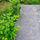 zdjęcie nr 8