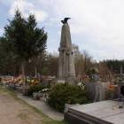 zdjęcie nr 8