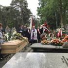 zdjęcie nr 9