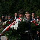 Fotka nr 5 z 7