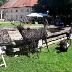 zdjęcie nr 13