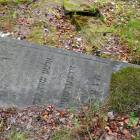 zdjęcie nr 42