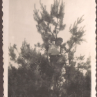 zdjęcie nr 14