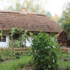 zdjęcie nr 81