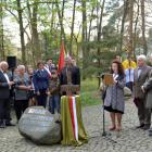 zdjęcie nr 26