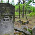 zdjęcie nr 27