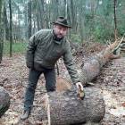 Nadleśniczy Artur Dawidziuk pokazuje owocnik czyrenia sosnowego