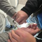 Zatrzymanie w sprawie laboratorium narkotyków w Józefowie