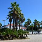 Fotka nr 0 z 76