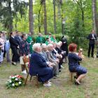 zdjęcie nr 12