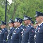 zdjęcie nr 9