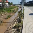 Fotka nr 5 z 6