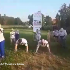 Fotka nr 3 z 33
