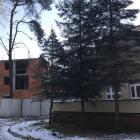 zdjęcie nr 19