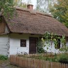 zdjęcie nr 28
