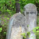zdjęcie nr 47